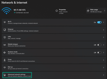 Accessing Advanced network settings on Windows 11.