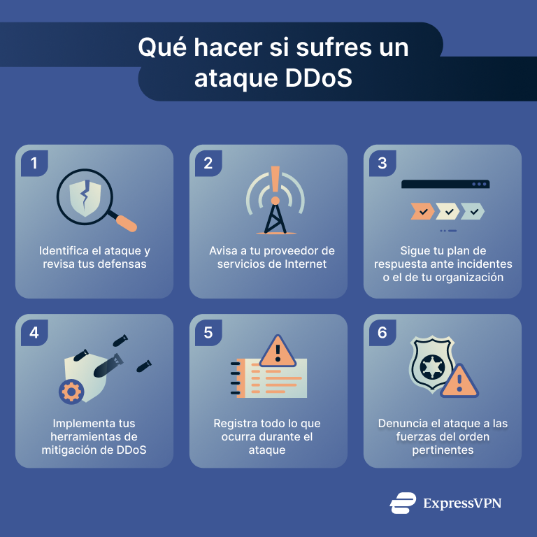 Infographic detailing steps to take if you suffer a DDoS attack.