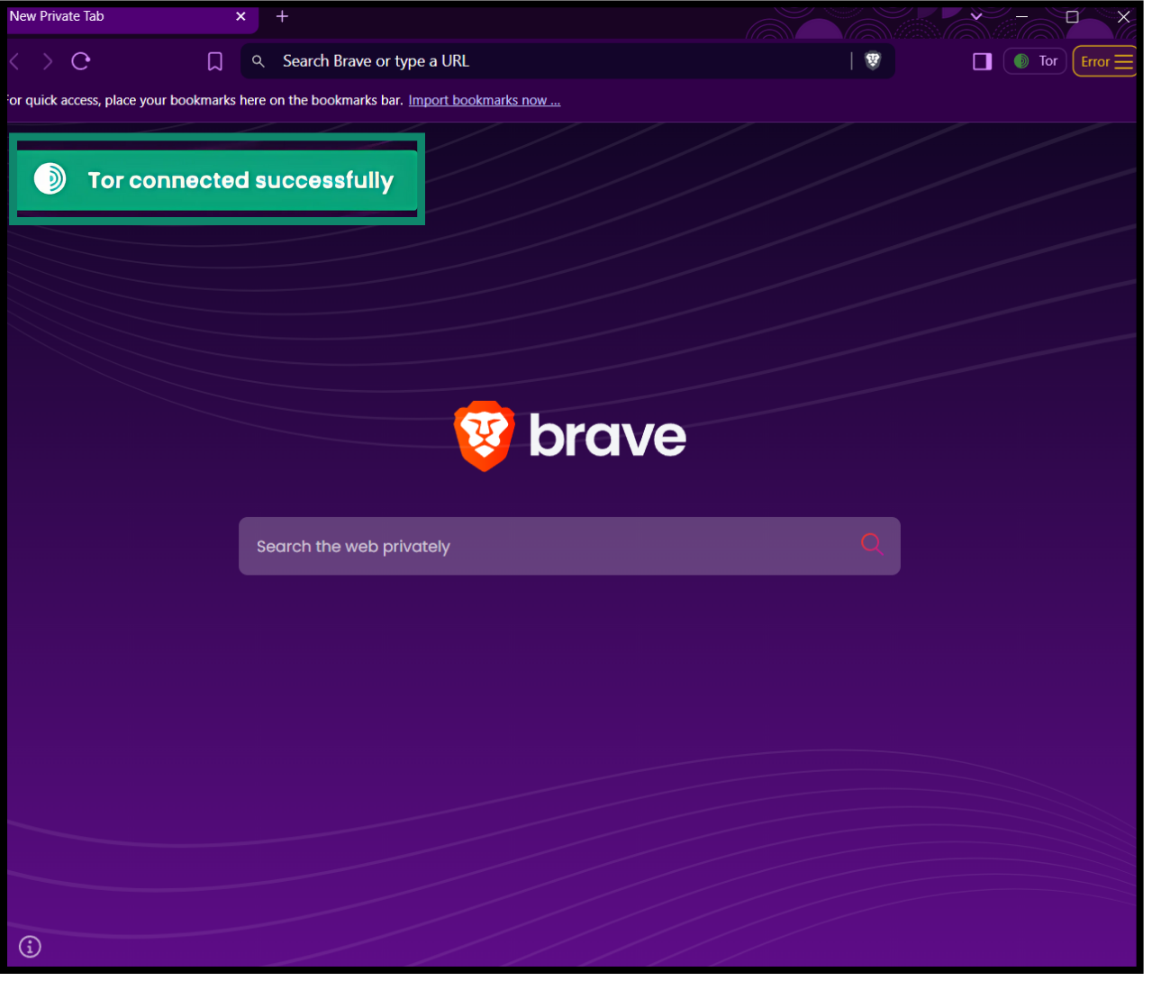 A private window with Tor open in Brave browser, showing the Tor connected successfully message.