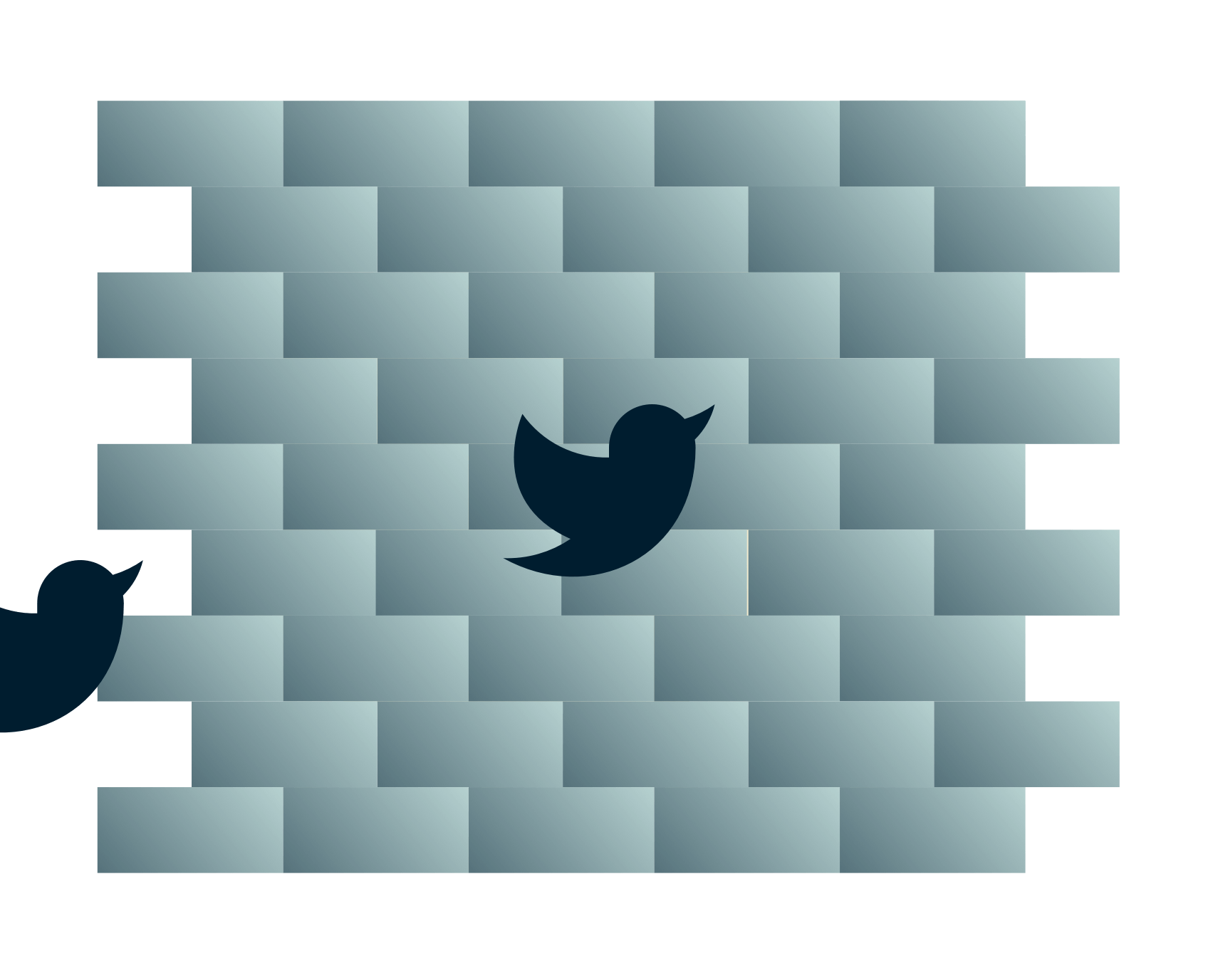 นกทวิตเตอร์มุ่งหน้าเข้าไปในกำแพง