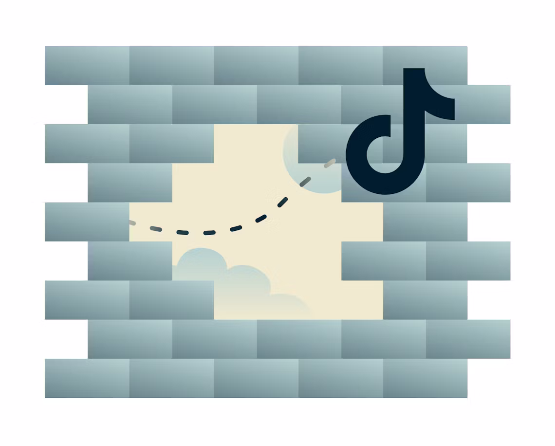 VPNでTikTokのブロックを解除する