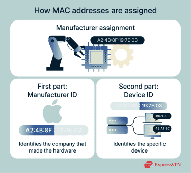 An overview of how MAC addresses are assigned and how each device receives a unique identifier.