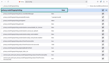 The Firefox about:config menu with Privacy.resistfingerprinting highlighted.