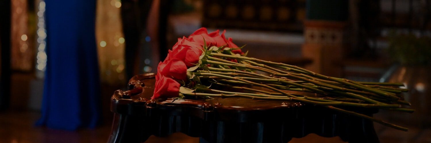 The Bachelor season 29